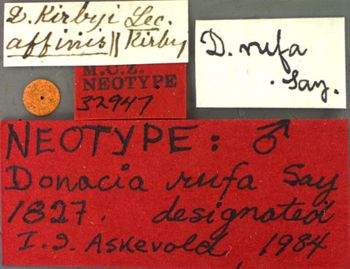 Media type: image;   Entomology 32947 Aspect: labels